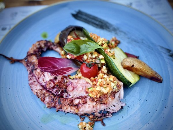 Quels critères pour sélectionner une plancha électrique avec thermostat ajustable?